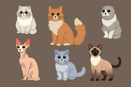 A digital illustration of six different cat breeds, including Persian, Maine Coon, Scottish Fold, Sphynx, British Shorthair, and Siamese. Each cat is uniquely styled, show diverse feline features. Vector illustrationのイラスト素材