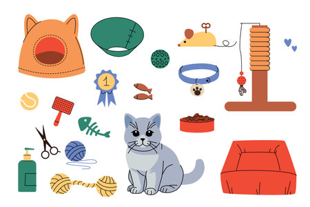 Illustration of a gray cat surrounded by pet essentials including scratching post, toys, grooming tools, food, beds, and collar. Concept for cat care, pet supplies, and feline accessories. Vector illustrationのイラスト素材