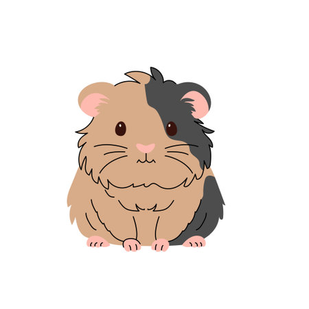Cute flat illustration of a fluffy tricolor guinea pig with brown black and pink details Perfect for pet care designs animal lovers children books and educational materials. Vector illustrationのイラスト素材