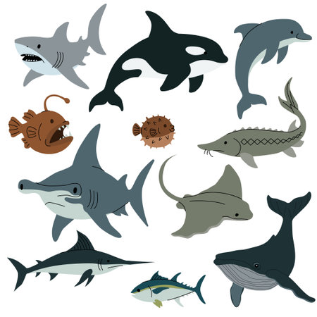 Flat vector illustration of various sea animals including sharks, dolphins, whales, stingray, swordfish, pufferfish, and anglerfish on white background. Vector illustrationのイラスト素材