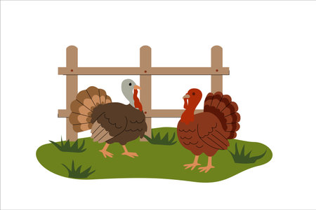 Flat illustration of two turkeys standing on green grass near a wooden fence. Simple cartoon style with warm earthy tones, ideal for farm themes, Thanksgiving, kids content, and education. Vector illustrationのイラスト素材