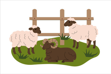 Flat illustration of two fluffy sheep and a resting ram on green grass near a wooden fence. Minimal cartoon style, perfect for childrens books, farm themes, and educational materials. Vector illustrationのイラスト素材
