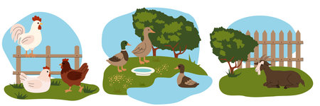 Flat illustration of farm scenes with chickens, ducks, and a resting goat on green pastures. Simple cartoon style with blue sky background, ideal for childrens books, farm education, and playful designs. Vector illustrationのイラスト素材