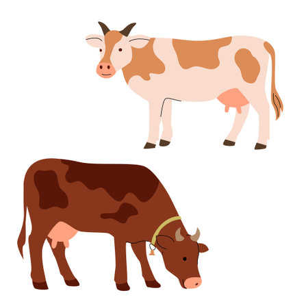 Flat illustration of two dairy cows in different poses and colors. One is standing upright, the other is grazing. Simple cartoon style, ideal for farm themed content, kids books, and educational materials. Vector illustrationのイラスト素材