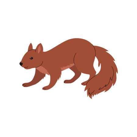 Flat illustration of a red squirrel in motion, shown in side view. Features reddish-brown fur, small ears, dark eyes, and a large bushy tail. Ideal for woodland themes, nature stories, or educational content. Vector illustrationのイラスト素材