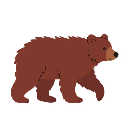 Flat illustration of a brown bear walking. Simple cartoon style with clean lines and minimal details, ideal for childrens books, forest animal themes, and educational materials. Vector illustrationのイラスト素材