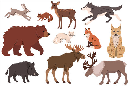 Flat illustration of various forest animals including bear, moose, deer, boar, wolf, fox, hare, lynx, squirrel, stoat, and reindeer. Cute flat style, perfect for childrens books, nature education, and woodland themes. Vector illustrationのイラスト素材