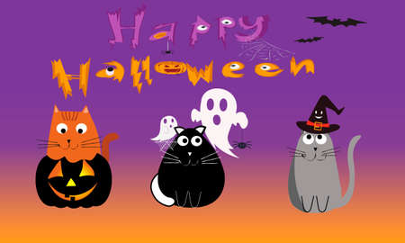 Happy Halloween banner or party invitation background with cats pumpkin haunted spider hat. Halloween attributes. Holiday greeting card.Vector illustration. Full moon in the sky, spider webs and bats.のイラスト素材