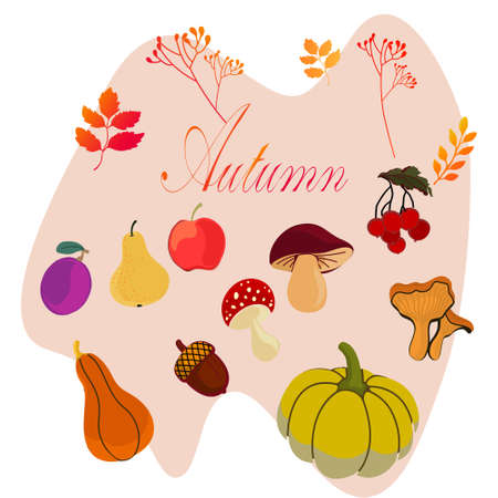 Autumn Element Doodle Vector Design.Autumn set. Vegetables and fruits, mushrooms and tree leaves.のイラスト素材