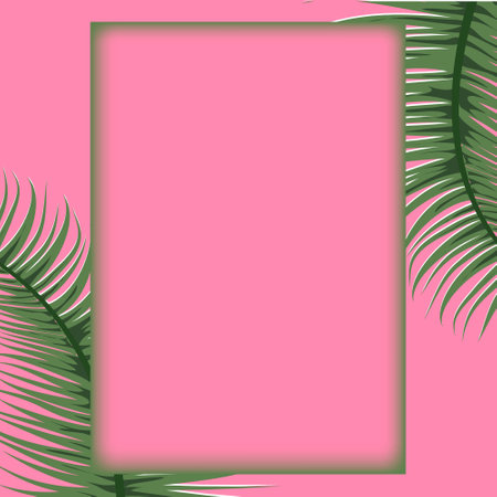 Tropical palm leaves frame botanical vector illustration. Gradient frame.Exotic nature card or banner with frame for text isolated on pink background. Jungle green leaf floral pattern. Tropical palmの写真素材