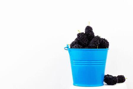 Summer. Mulberry. White background.の写真素材