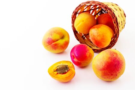 Apricots. Summer. White background.の写真素材