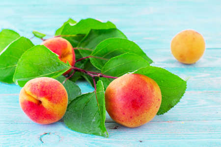 Apricots on a blue backgroundの写真素材