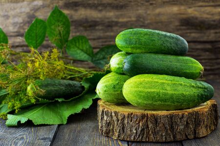 Cucumbers on a wooden background.の写真素材