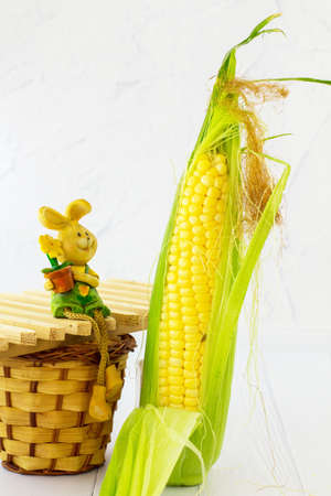 Corn on a white background.の写真素材