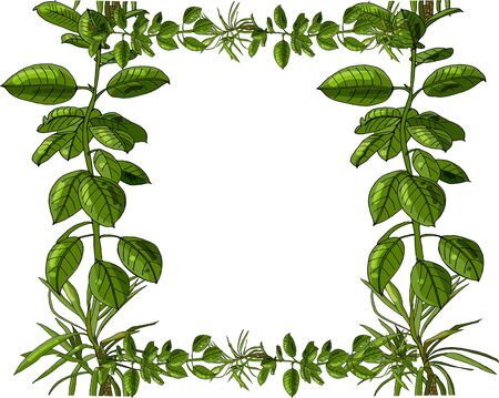 Square vector composition of houseplants with place for writing a text message.のイラスト素材