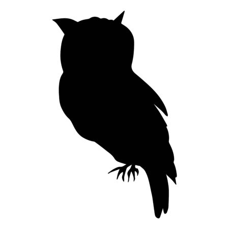 Shadow of a walking owl on a white backgroundのイラスト素材