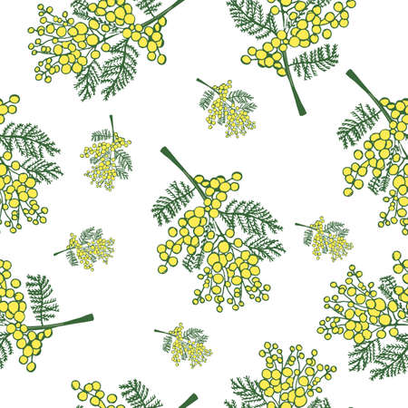 seamless pattern with spring delicate flowers - yellow mimosa on a white backgroundのイラスト素材