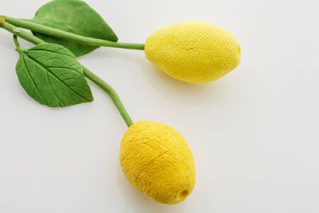 Beautiful artificial handmade art-clay lemon twigs lying over white background. Copy space.の写真素材