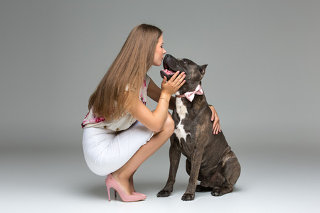 Beautiful girl with grey stafford terrierの写真素材