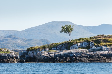 Beautiful view on norwegian fjords. outdoor shot in Norway. copy space.