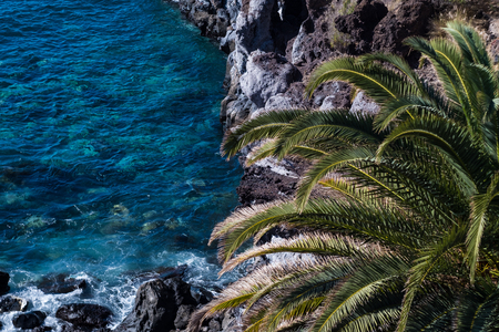 beautiful view on blue ocean water and palm tree. outdoor shot on tenerife island. copy space.の写真素材