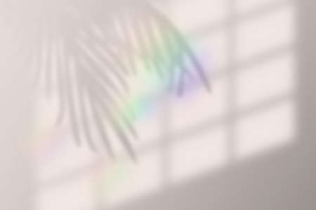 Vector illustration of realistic tropical shadow overlay effect. with rainbow lens flare. Blurred transparent soft light shadow from window and palm leavesのイラスト素材