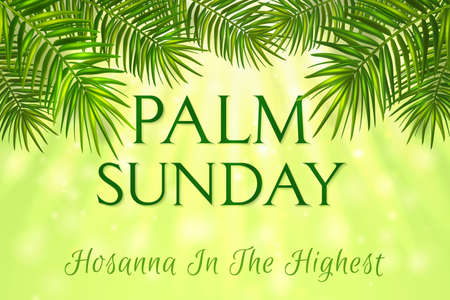 Palm Sunday - greeting banner template for Christian holiday, with palm tree leaves background. Congratulations with first day in Holy Week and symbol of triumphal entry into Jerusalemのイラスト素材