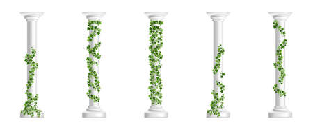 Marble greek columns with green ivy creeper isolated on white background. Stone pillars with climbing hedera vine. Realistic 3d vector illustration of crept plants on roman architecture design elementのイラスト素材