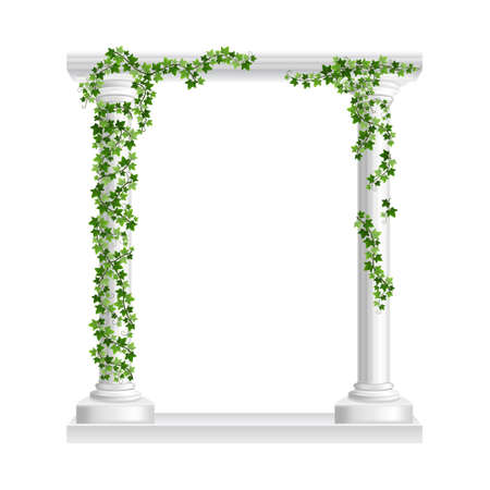 Marble roman arch with columns at green ivy creeper isolated on white background. Temple frame with stone pillars in climbing vine. Realistic 3d vector illustration of crept plants on architectureのイラスト素材