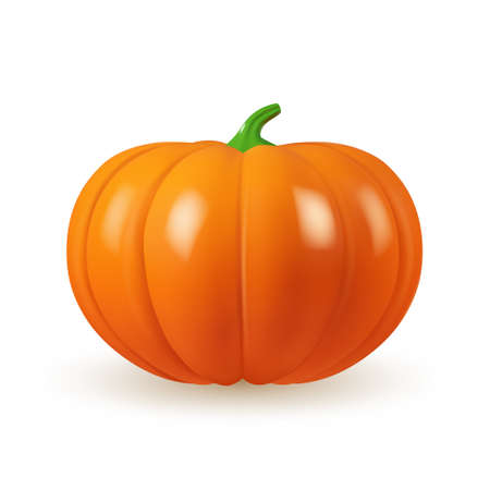 Orange pumpkin isolated on white background. 3d vector realistic illustration of squash. 3d render object, design element for autumn banner, halloween poster, thanksgiving cardのイラスト素材