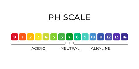 pH value scale chart for acid-alkaline solution. Acid-base balance infographic isolated on white background. Indicator for concentration of hydrogen ion in solution. Vector illustrationのイラスト素材