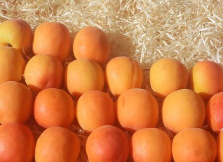 Bright orange apricots in a package with decor.の写真素材