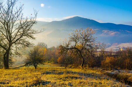 autumn landscape, a tree without leaves, iny on the green grass, the blue mountains in the fog in the background.の写真素材