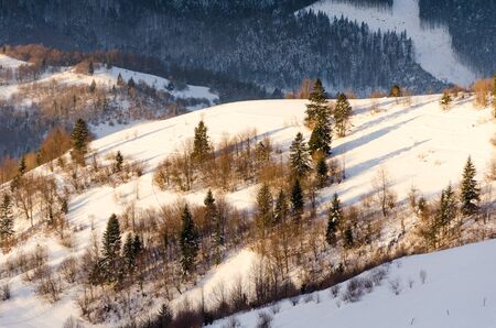 Winter mountain view at dawn wooden fence in snow, blue, green trees scattered on snow covered...