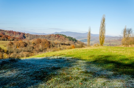 Autumn landscape, trees with colorful leaves, frost on green grass, autumn mountain in fog in the background.の写真素材