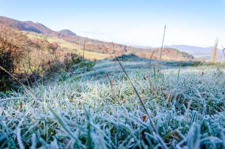 autumn landscape. frozen grass covered with frost.の写真素材