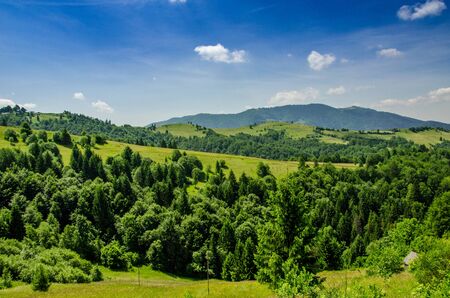 Summer mountain landscape, green hills and trees in the warm sunny day