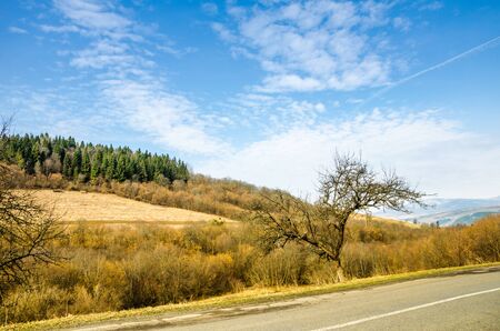 Spring landscape, tree without leaves on the slope of the road. Green lawnの写真素材