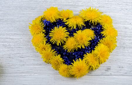 Heart of flowers. Blue and yellow flowers on a table in the shape of a heart