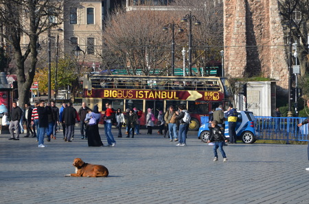 Tourist buses stop at Sultanahmet Square. Istanbul, Turkeyのeditorial素材