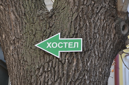 Arrow pointer to a hostel on the tree. Translation: Hostelの写真素材