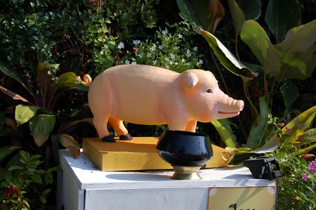 BANGKOK, THAILAND - MARCH 21, 2012 - Sculpture of a pig and a bowl for donations in the Buddhist temple Wat Saket (Golden Mounty), Bangkok, Thailandのeditorial素材