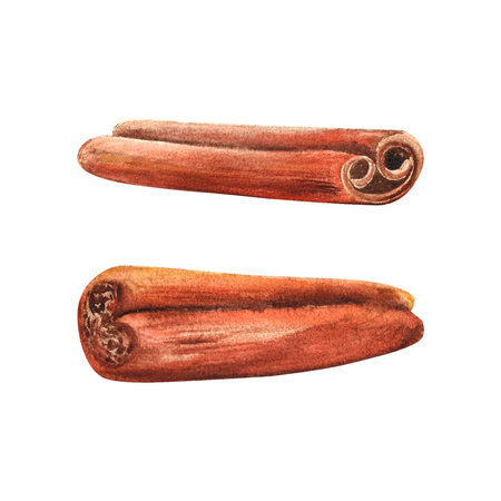 watercolor illustration of cinnamon sticks for decoration designの写真素材