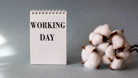 On a blue background a calendar with the text Workday, next to a cotton branchの写真素材