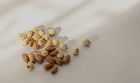 Different nuts on a white background, space for textの写真素材