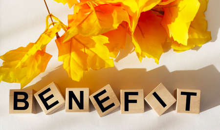 The word benefits is written on wooden cubes on a white background with foliage lying nearbyの写真素材