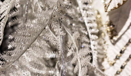 Beautiful white christmas tree branches isolated on white