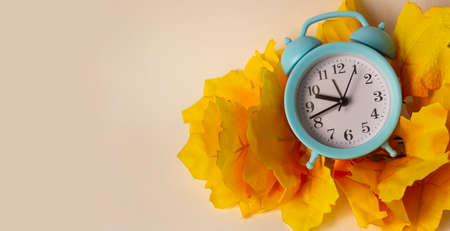On a light background, a yellow branch and a blue alarm clock. Place to writeの写真素材