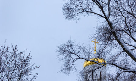 Domes and crosses of the church through the winter crown of treesの写真素材